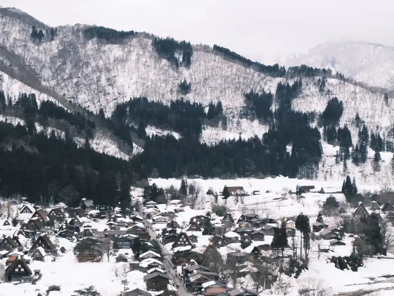 Snow-covered gassho-zukuri farmhouses of Shirakawa-go's Ogimachi village below wooded hills in winter