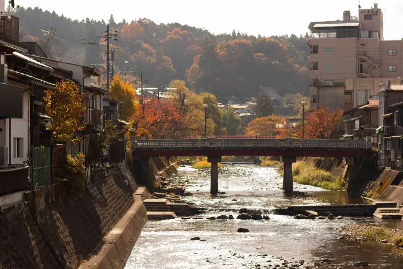 Miyagawa river in Takayama running under a red-railed bridge, autumn trees on the hill behind