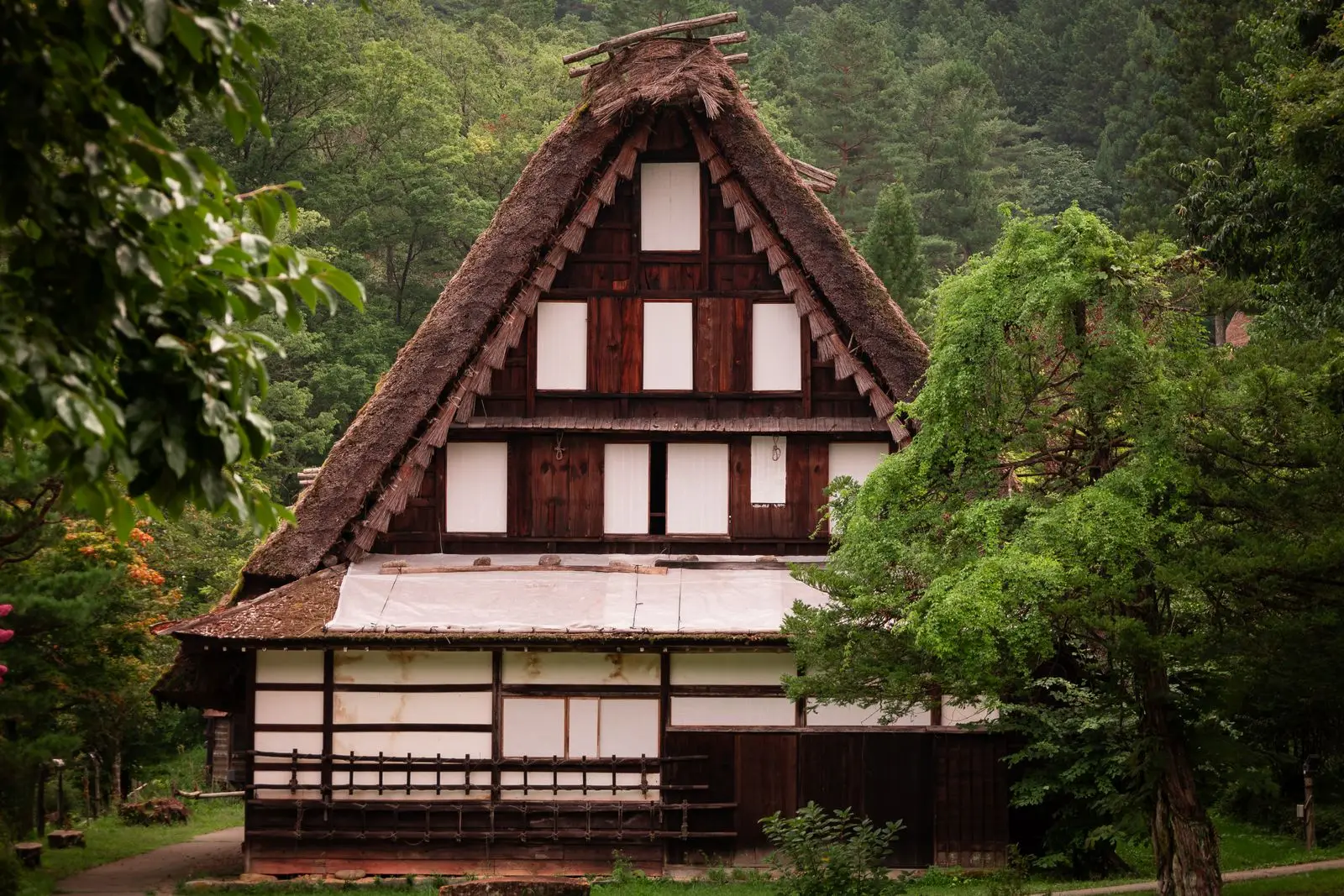 Thatched gassho-zukuri farmhouse with white paper windows among trees at Hida Folk Village
