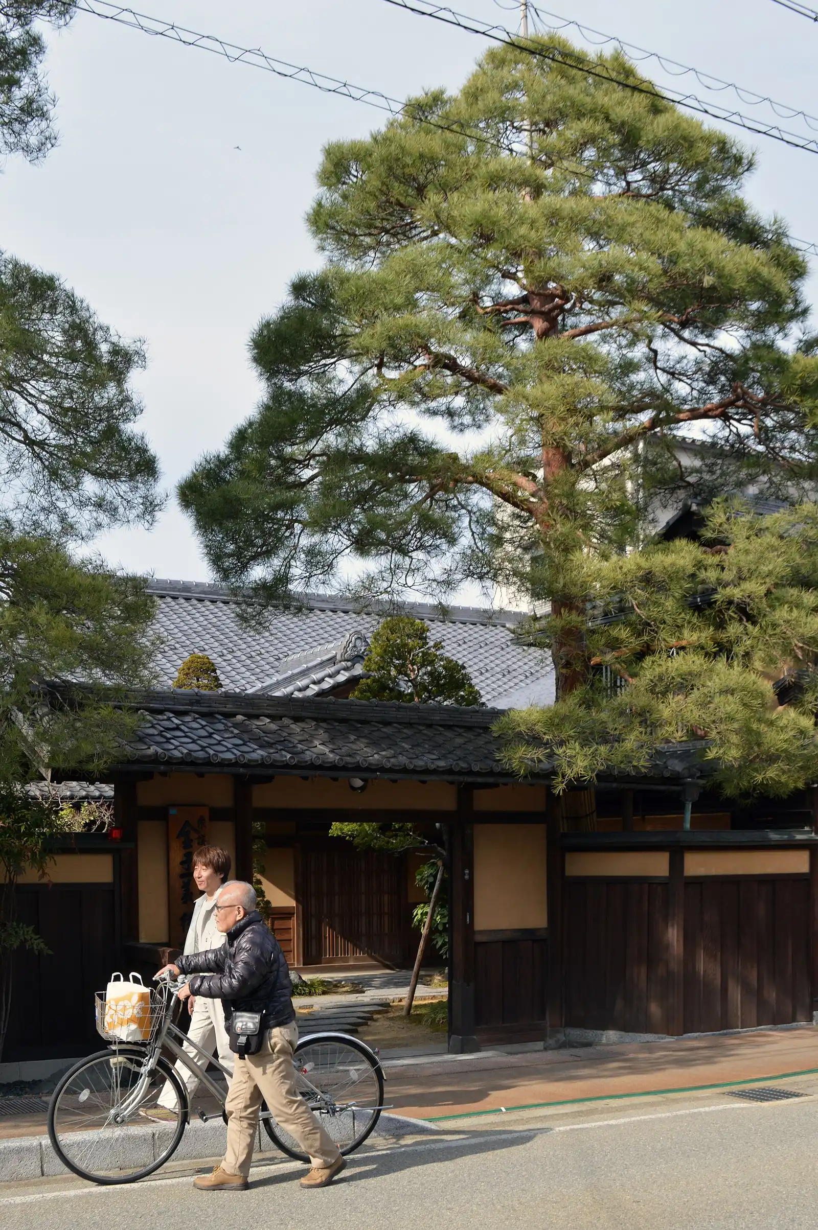 Traditional house with a tiled gateway and a tall pine on a street in Takayama's Uramachi