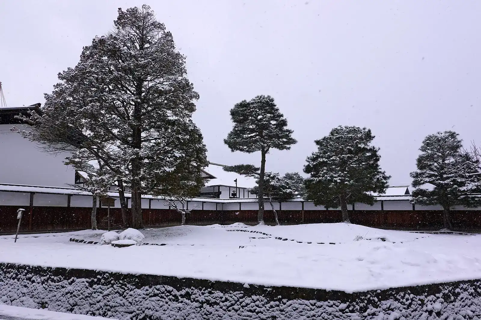 Snow-covered garden of Takayama Jinya with pines against the white wall