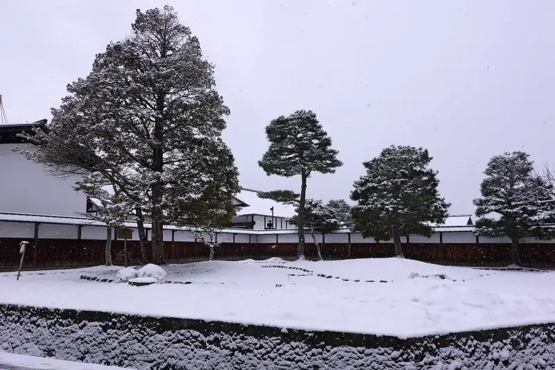 Snow-covered garden of Takayama Jinya with pines against the white wall