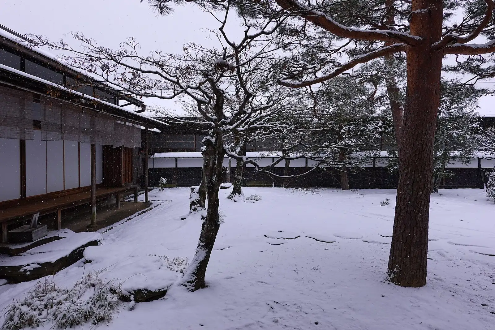 Pines in the snowy inner garden beside the veranda of Takayama Jinya