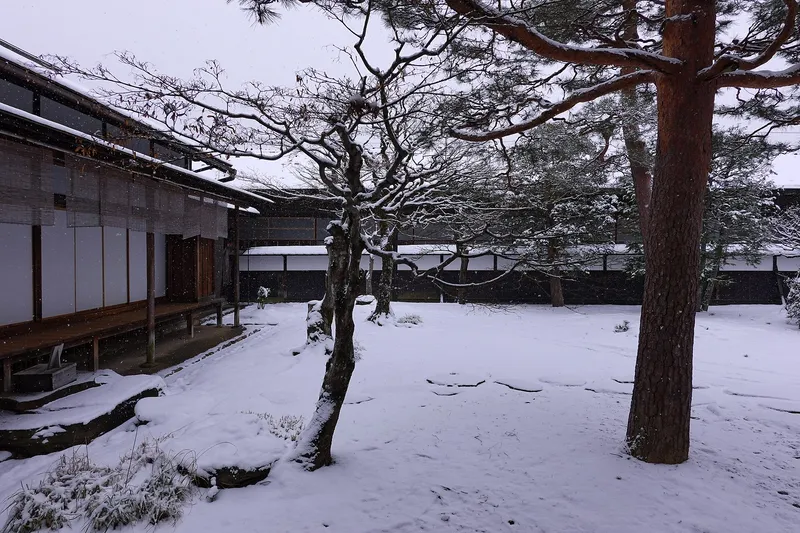Pines in the snowy inner garden beside the veranda of Takayama Jinya