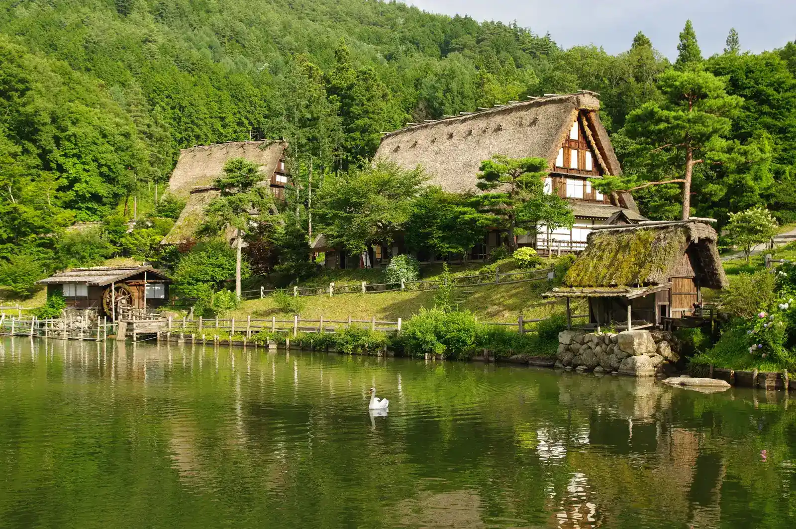 Thatched gassho farmhouses and a water mill reflected in the pond at Hida Folk Village in early summer