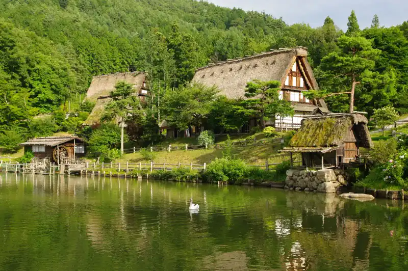 Thatched gassho farmhouses and a water mill reflected in the pond at Hida Folk Village in early summer