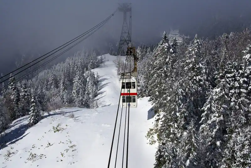 Shinhotaka Ropeway cabin climbing over snow-covered fir forest towards a pylon in the mist