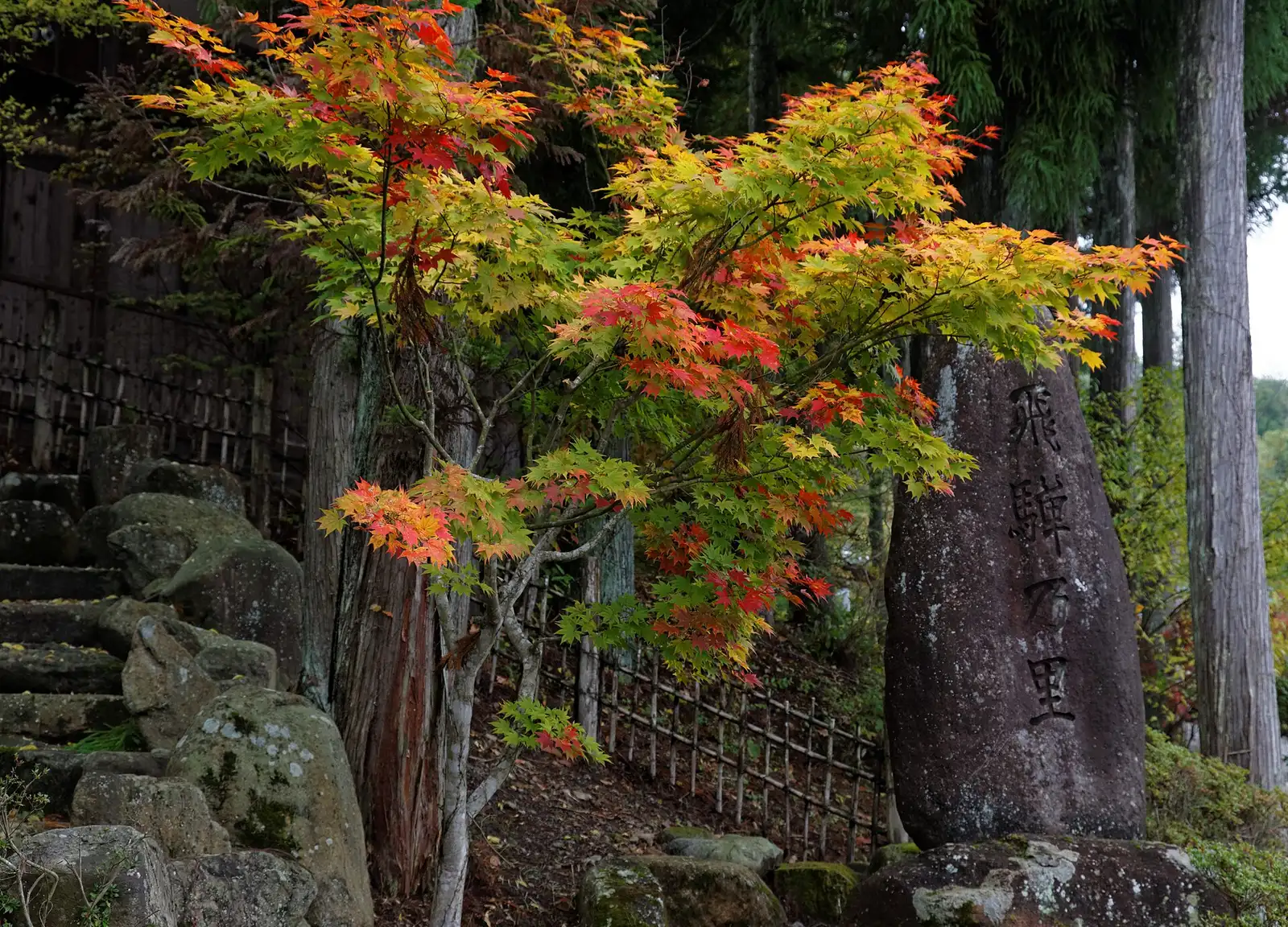 Autumn maple by the carved stone marker at the entrance to Hida Folk Village