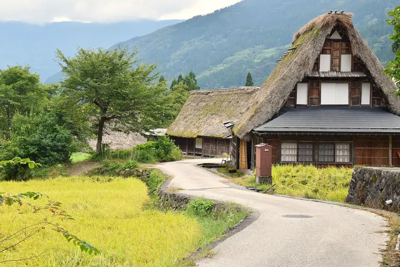 Narrow lane curving past thatched gassho houses and rice fields in Ainokura