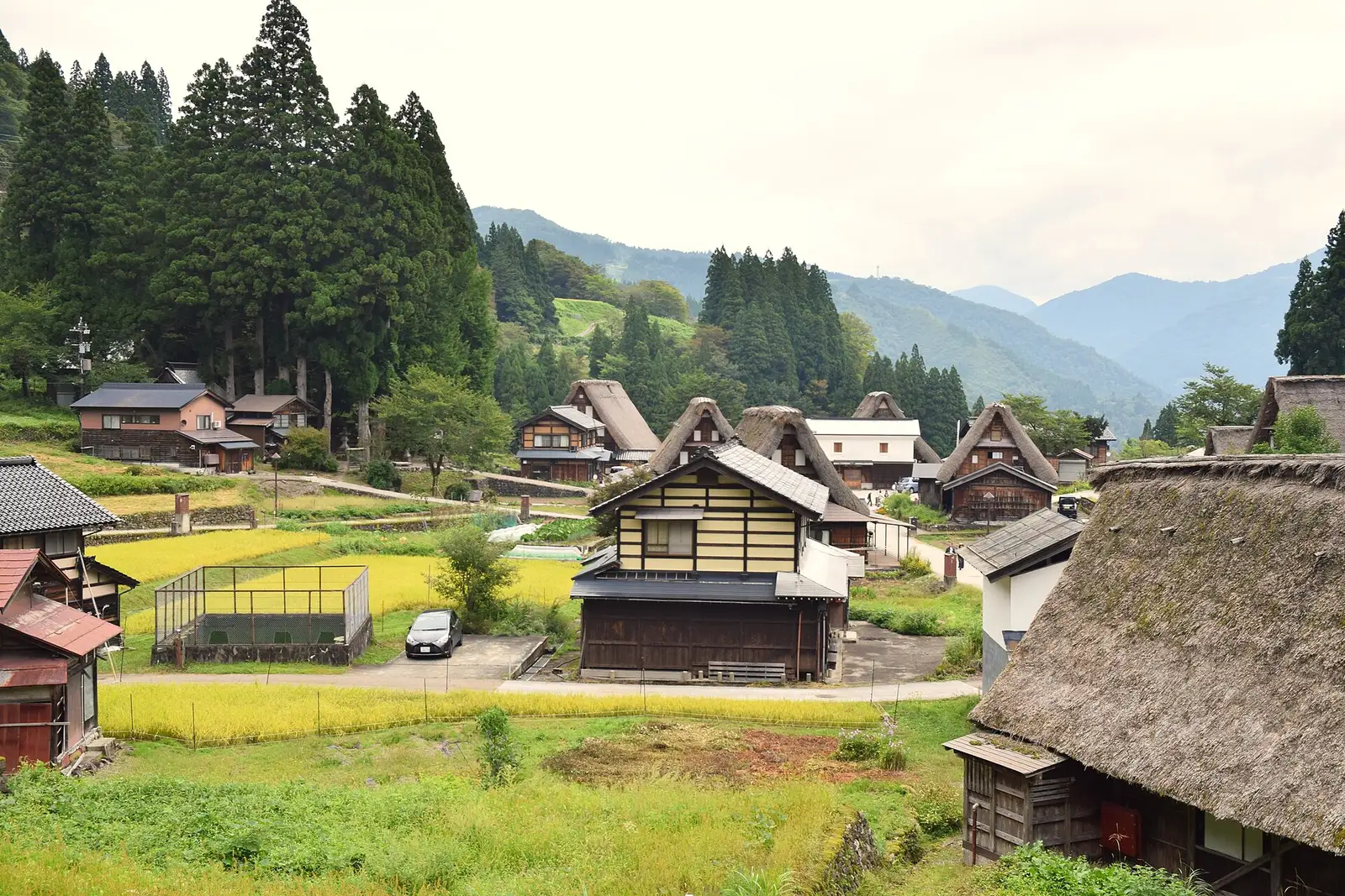 Ainokura village from above, steep thatched roofs among rice plots and cedar trees in a mountain valley