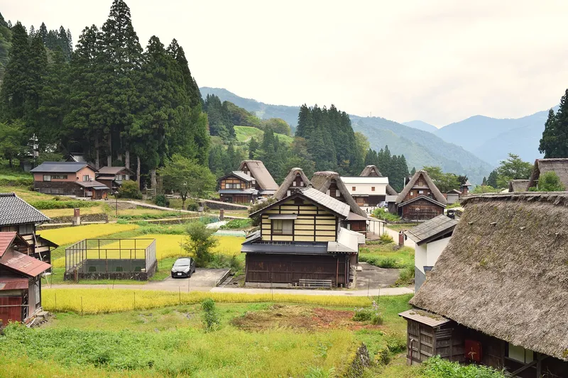 Ainokura village from above, steep thatched roofs among rice plots and cedar trees in a mountain valley